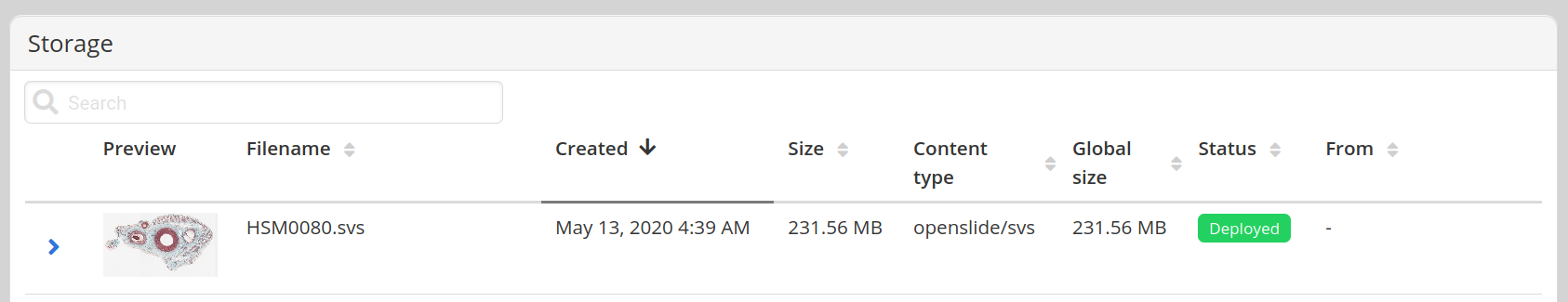 HSM0080.svs file in storage after successfull upload
