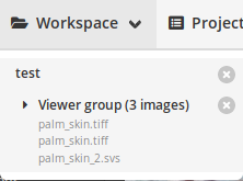 Workspace with a viewer with 3 images